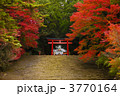 霧島神宮の紅葉 霧島神宮の紅葉