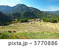 丸山千枚田