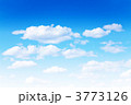 3773126