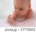 3773665