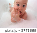 3773669