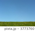 3773760