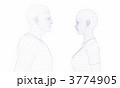 3774905