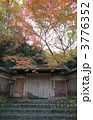 秋の瑠璃光院　山門