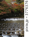 八瀬の紅葉