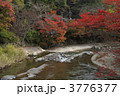 八瀬の紅葉