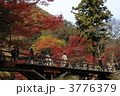 八瀬の紅葉　西塔橋付近
