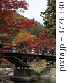 八瀬の紅葉　西塔橋付近