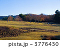 奈良公園
