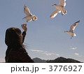浄土ヶ浜の遊覧船でウミネコの餌付け