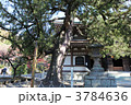 鎌倉円覚寺