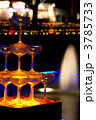 Winter Vista Illumination 2011(ミニシャンパングラスツリー)