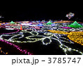 Winter Vista Illumination 2011(グラウンドイルミネーション)