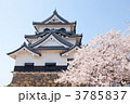 彦根城の桜