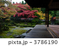 泉涌寺、御座所庭園の縁側