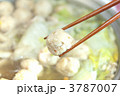 鶏肉だんご
