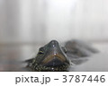 呼んだ？