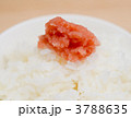 3788635