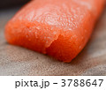 3788647