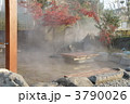 3790026