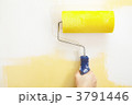 3791446