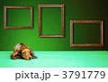 3791779