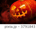 3791843