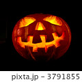 3791855