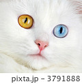 3791888