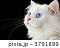 3791899