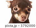3792000