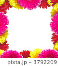 3792209