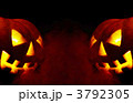 3792305