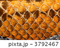 3792467