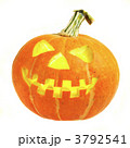 3792541