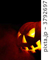 3792697