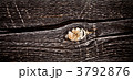 3792876