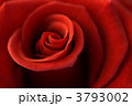 3793002