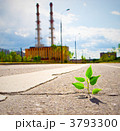 3793300