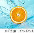 3793801