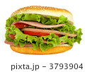3793904