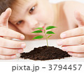 3794457