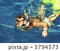 3794573