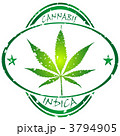 3794905