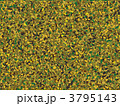 3795143