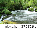 奥入瀬渓流２　阿修羅の流れ