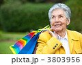 3803956