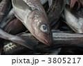 スケソウダラ