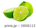 3808113