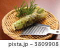 生わさび